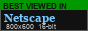 Best Viewed in Netscape Navigator at 800x600